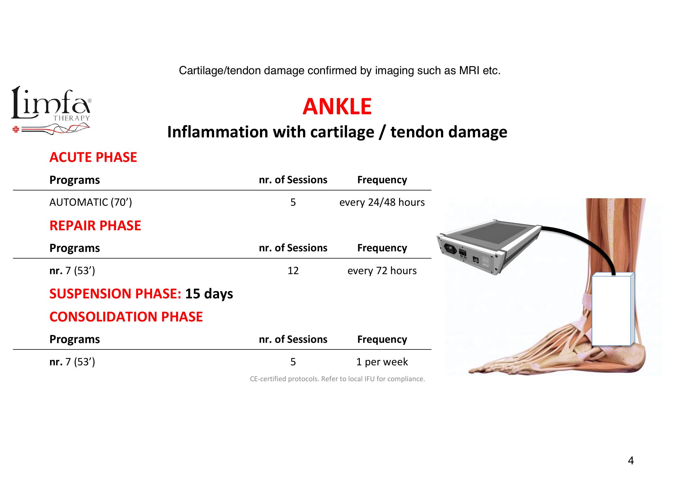 Ankle- Inflammation (cartilage/tendon) - Transducer Placement