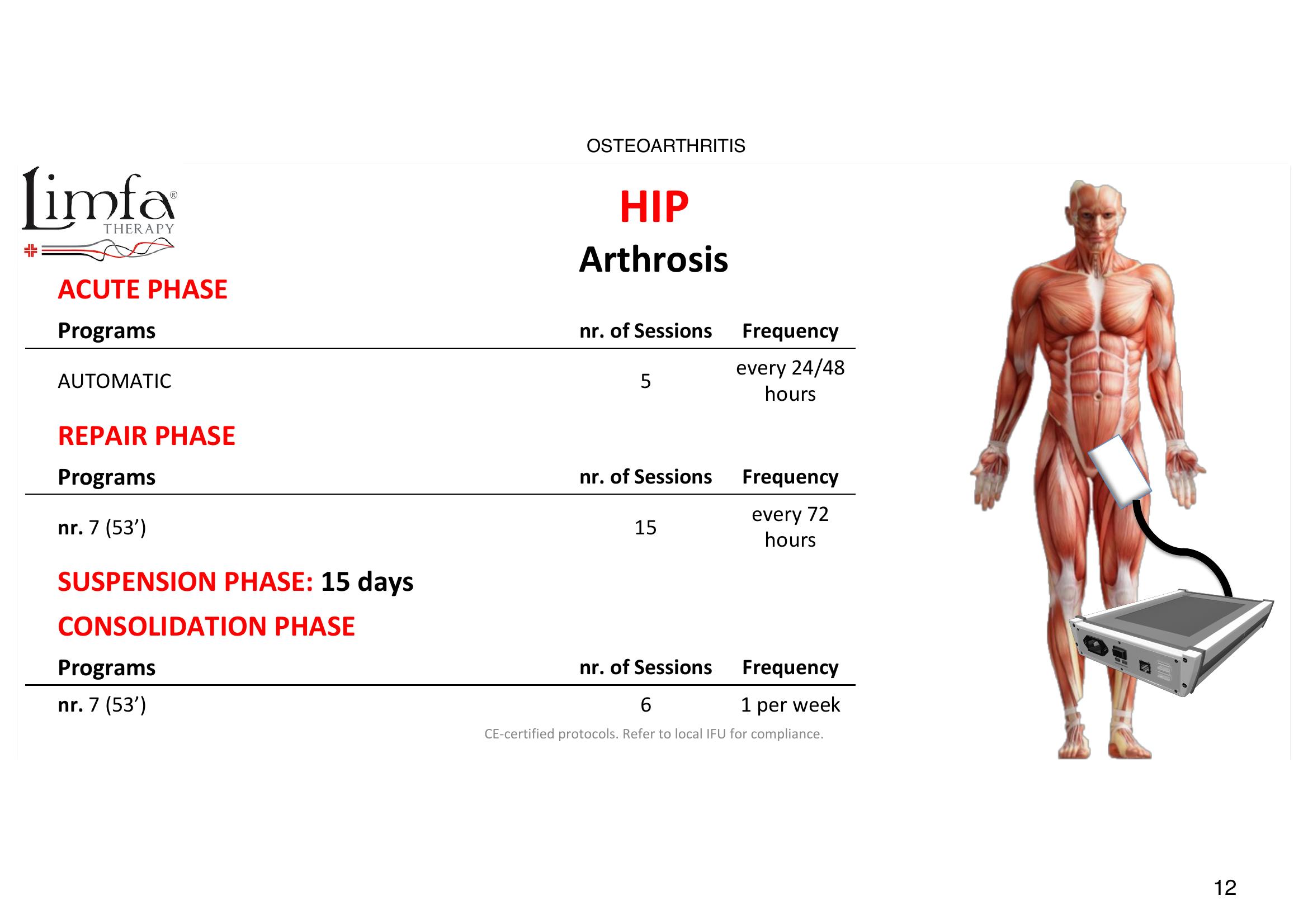 Hip- Arthrosis (Osteoarthritis) - Transducer Placement