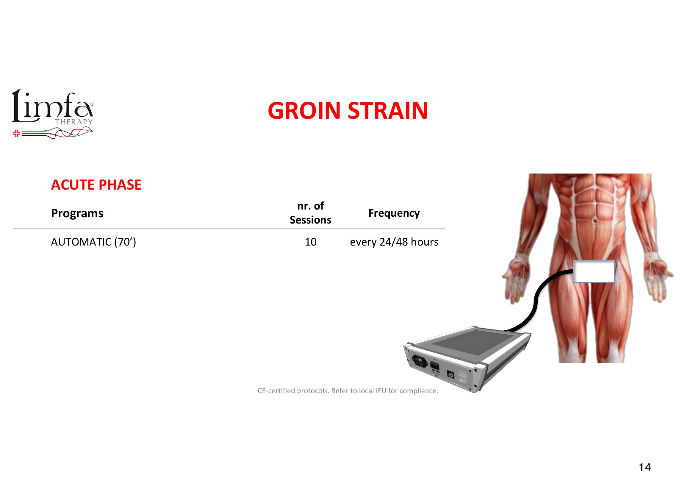 Groin Strain - Transducer Placement