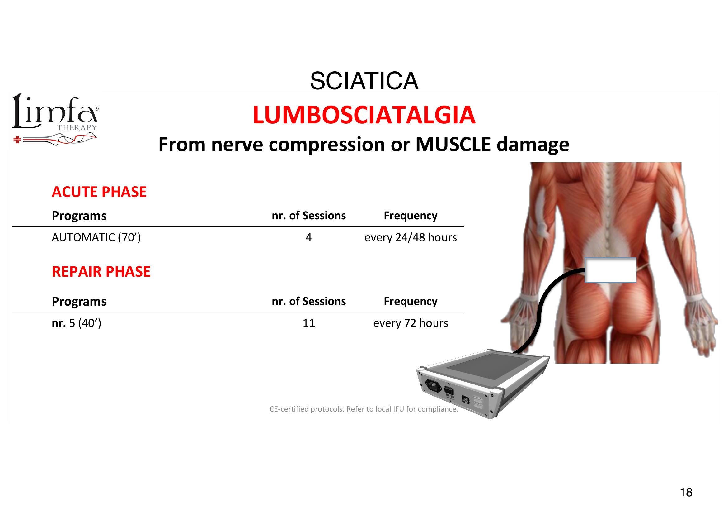Lumbosciatalgia /Sciatica - Transducer Placement